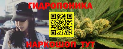 гашиш Кингисепп