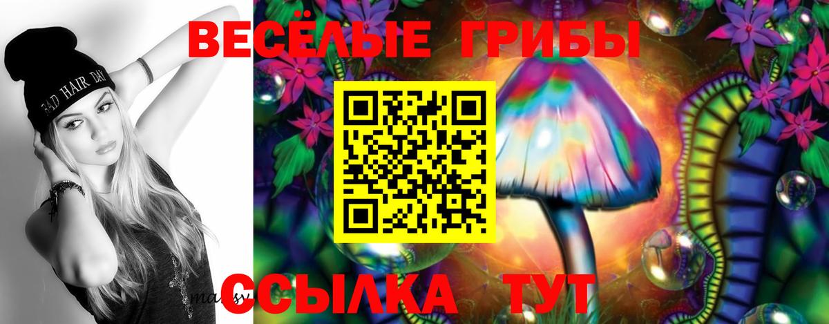 Галлюциногенные грибы прущие грибы Салехард