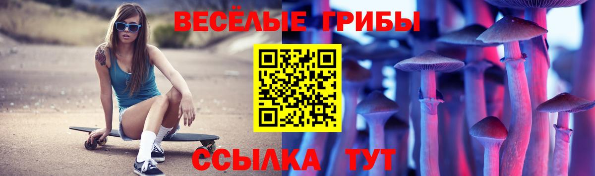 Псилоцибиновые грибы GOLDEN TEACHER  Вход с VPN  Галлюциногенные грибы мухоморы  Салехард 